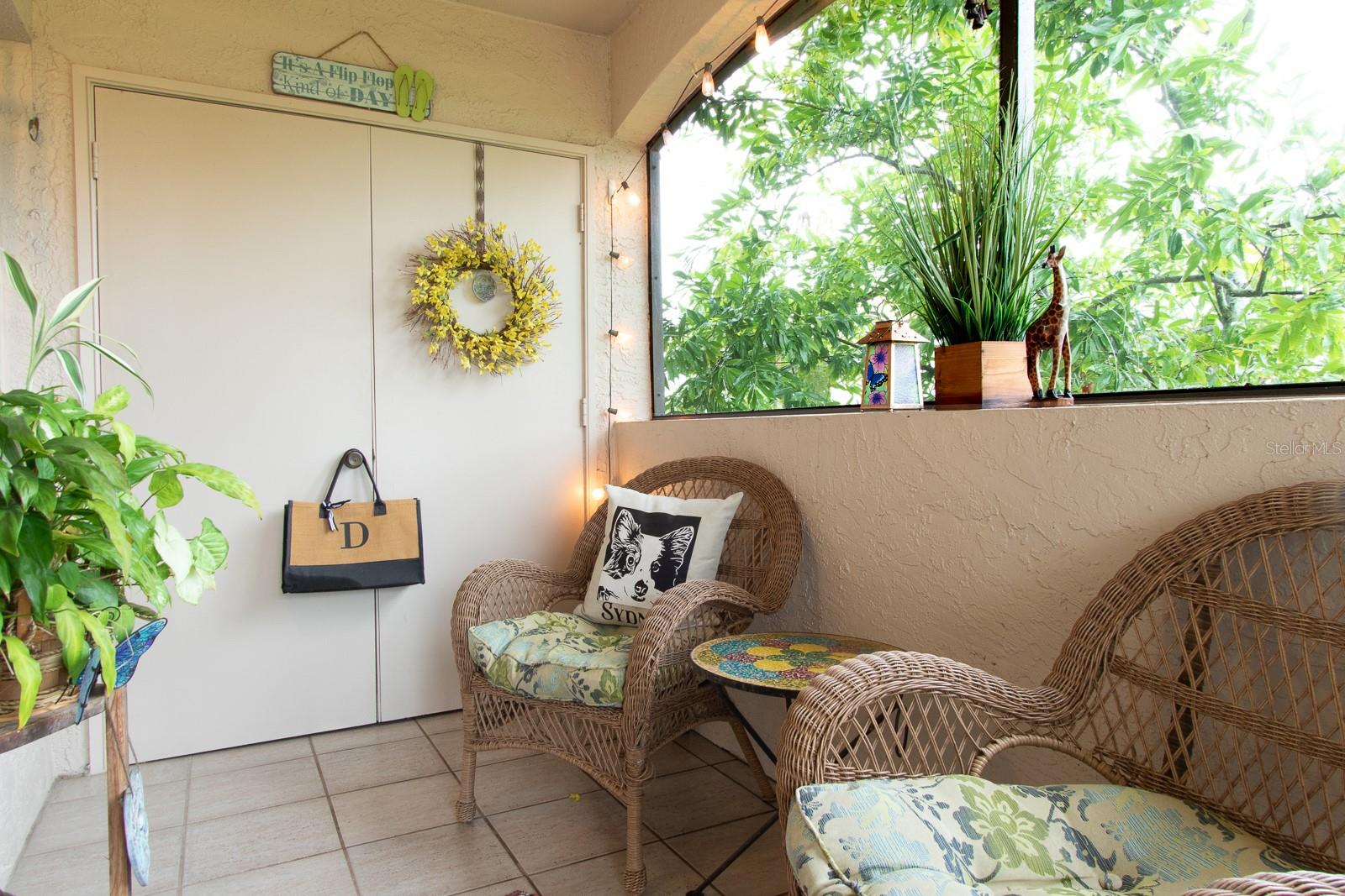 3020 BONAVENTURE CIR #204, PALM HARBOR, FL, 34684