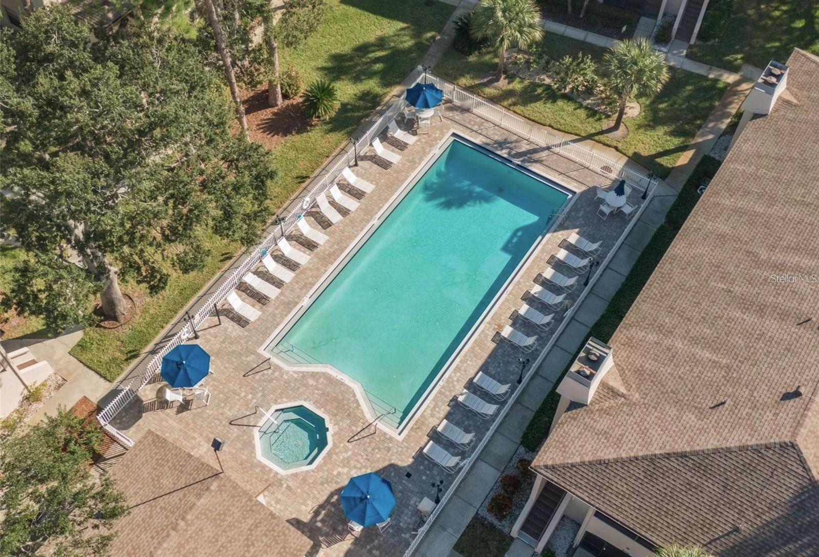 3020 BONAVENTURE CIR #204, PALM HARBOR, FL, 34684