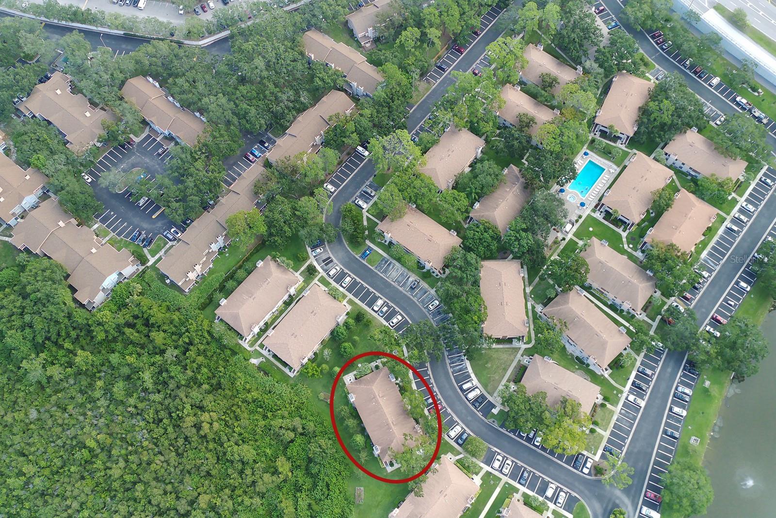 3020 BONAVENTURE CIR #204, PALM HARBOR, FL, 34684