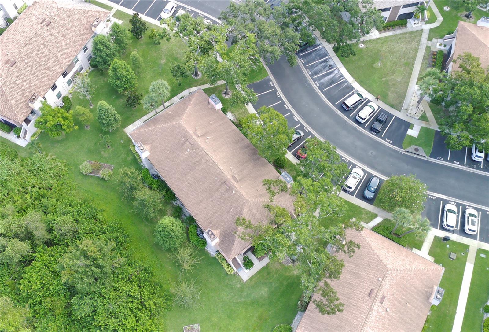 3020 BONAVENTURE CIR #204, PALM HARBOR, FL, 34684