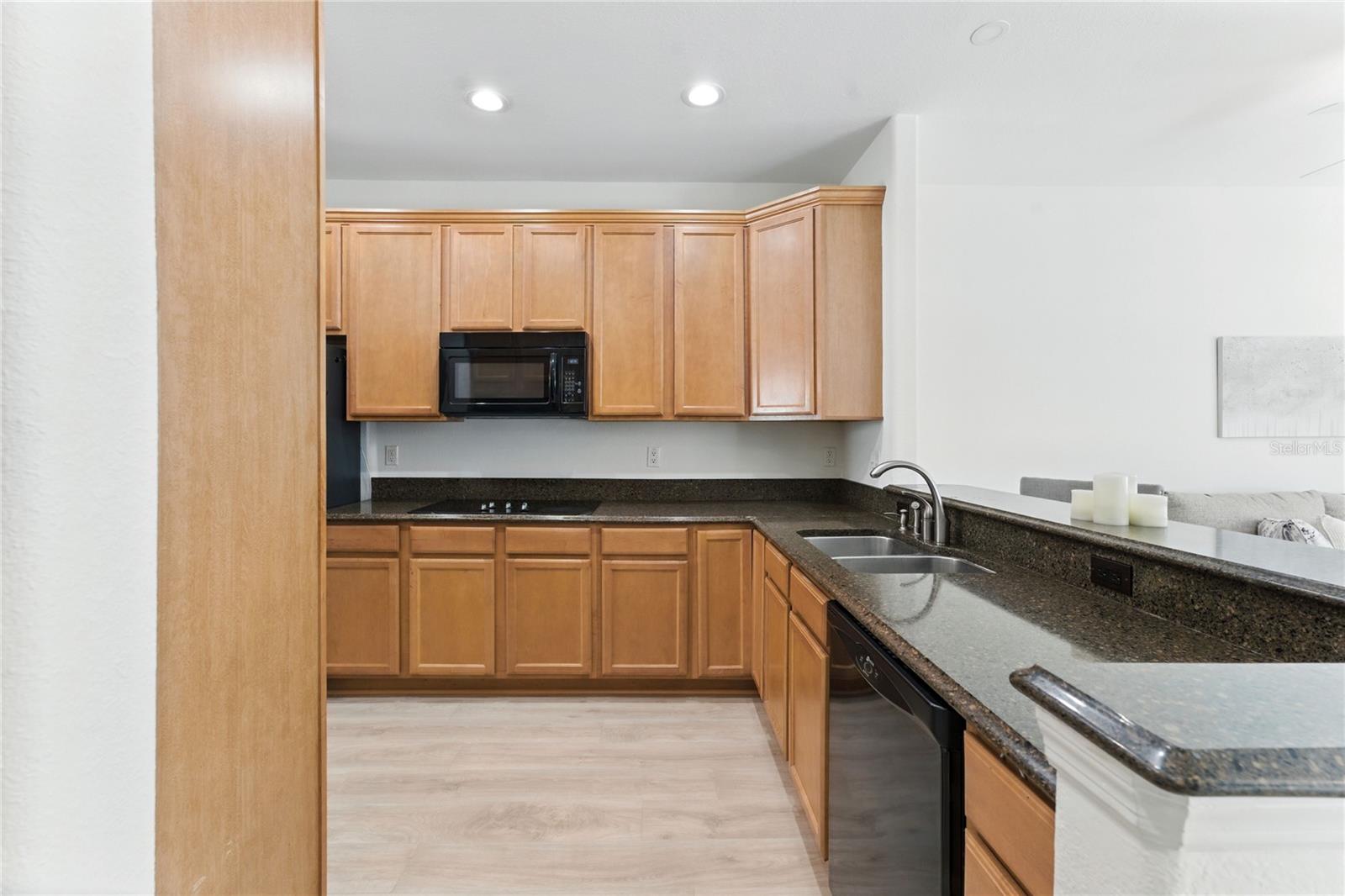 13239 FOUNTAINBLEAU DR, CLERMONT, FL, 34711