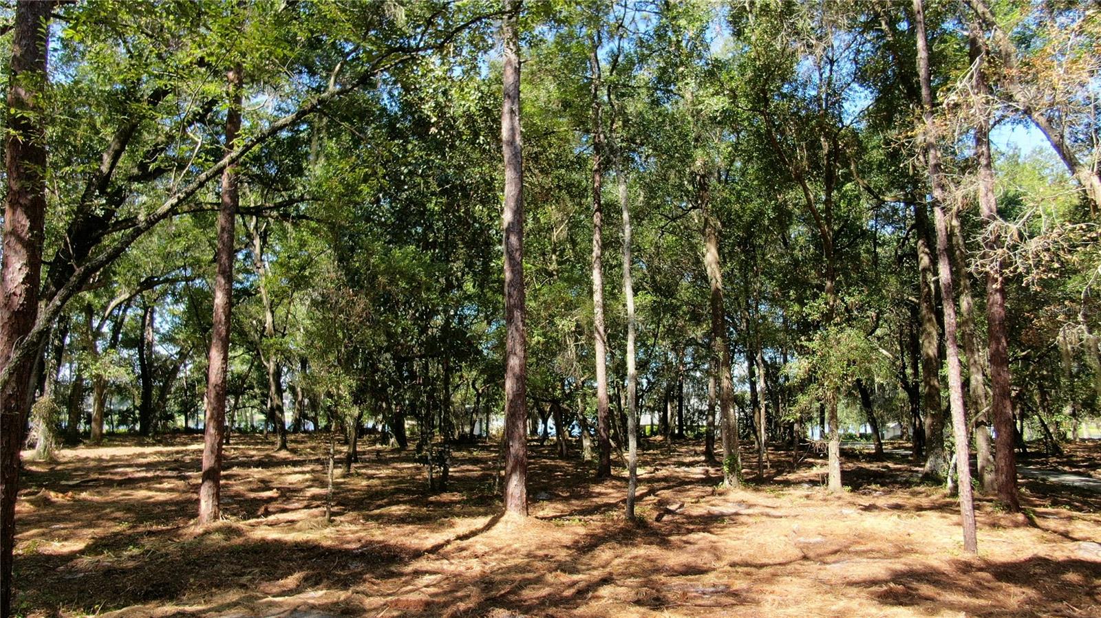 LAKE MARKHAM RD, SANFORD, FL, 32771