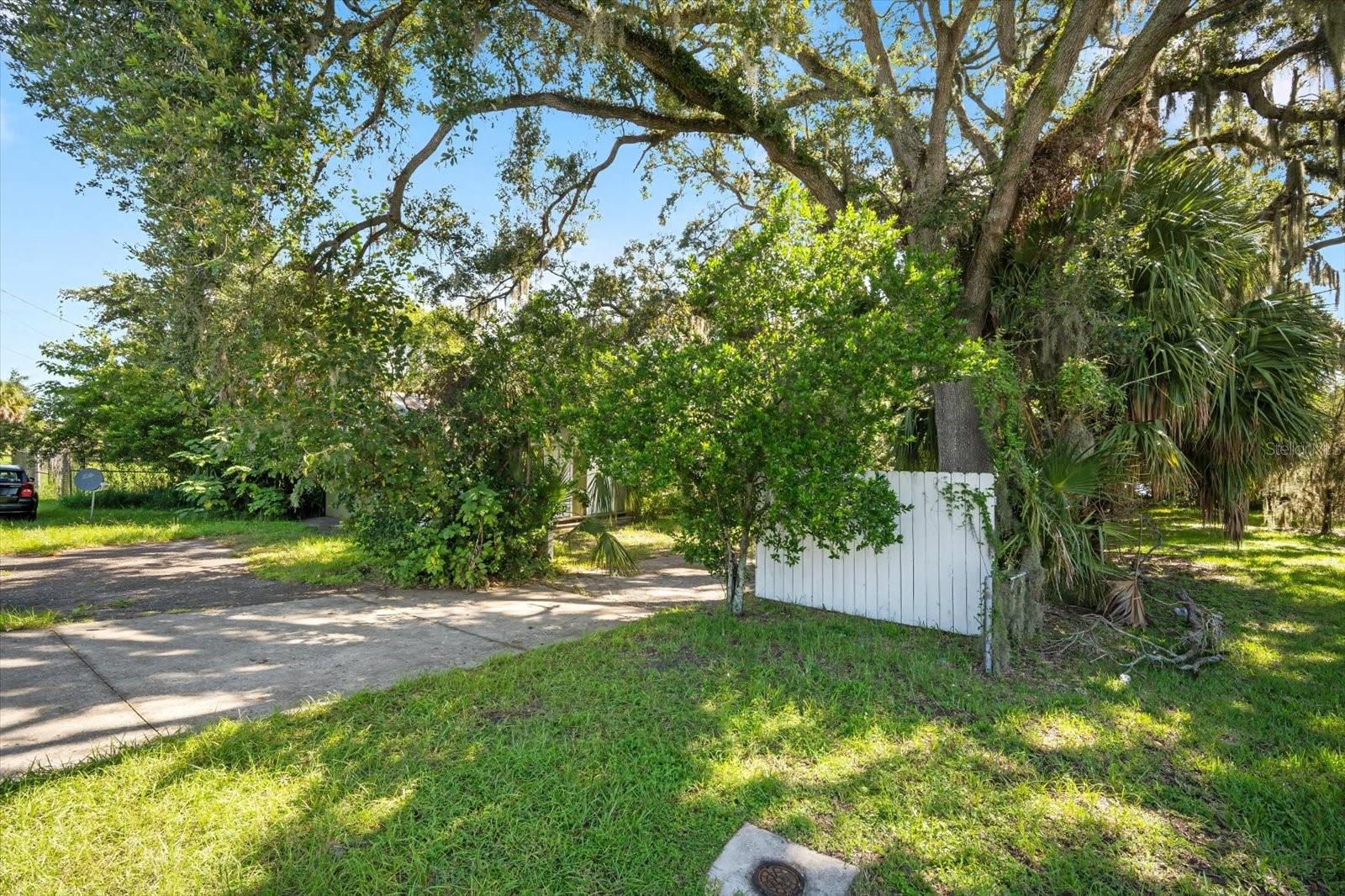 6915 N 40TH ST, TAMPA, FL, 33604