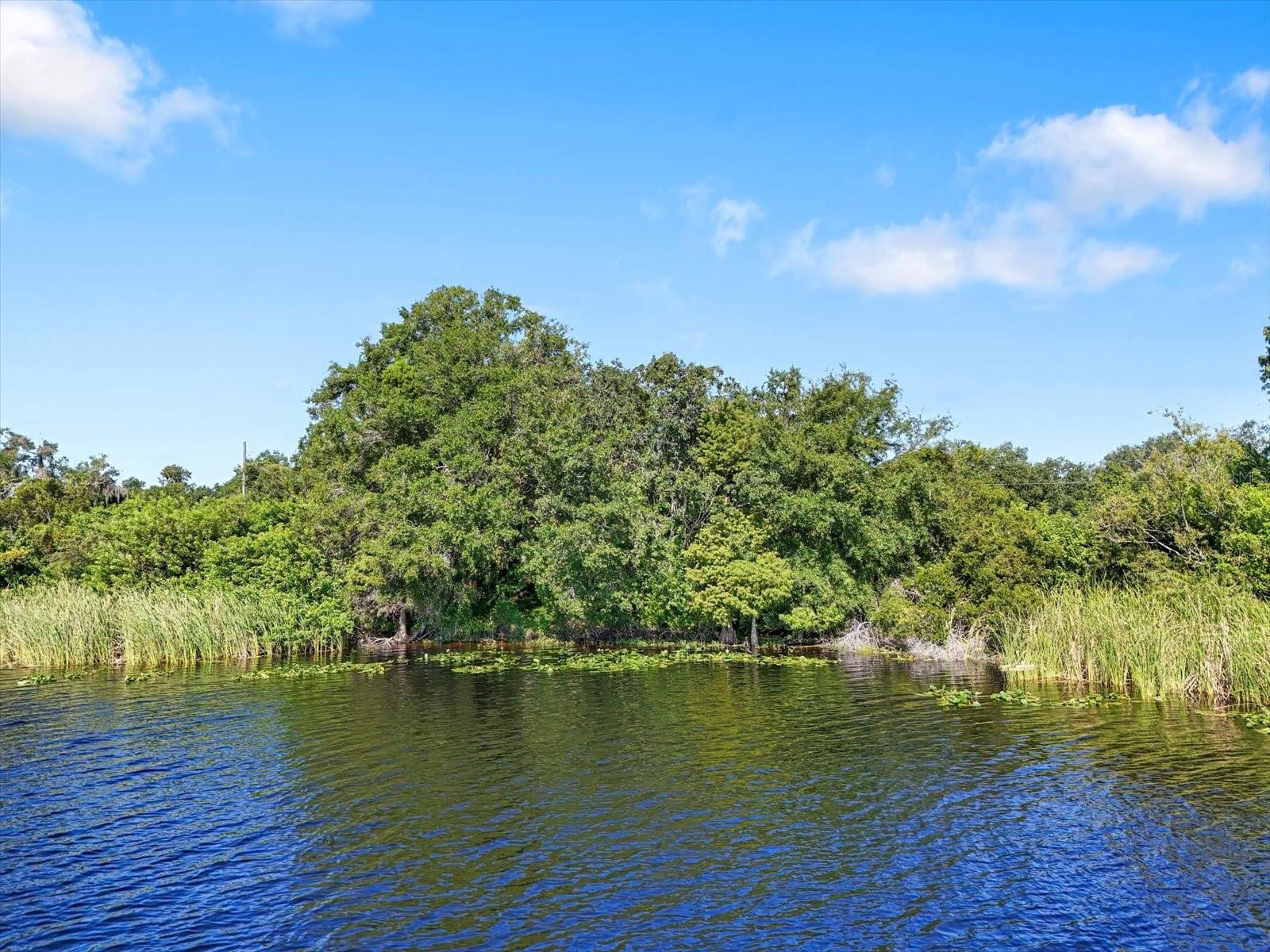 6915 N 40TH ST, TAMPA, FL, 33604