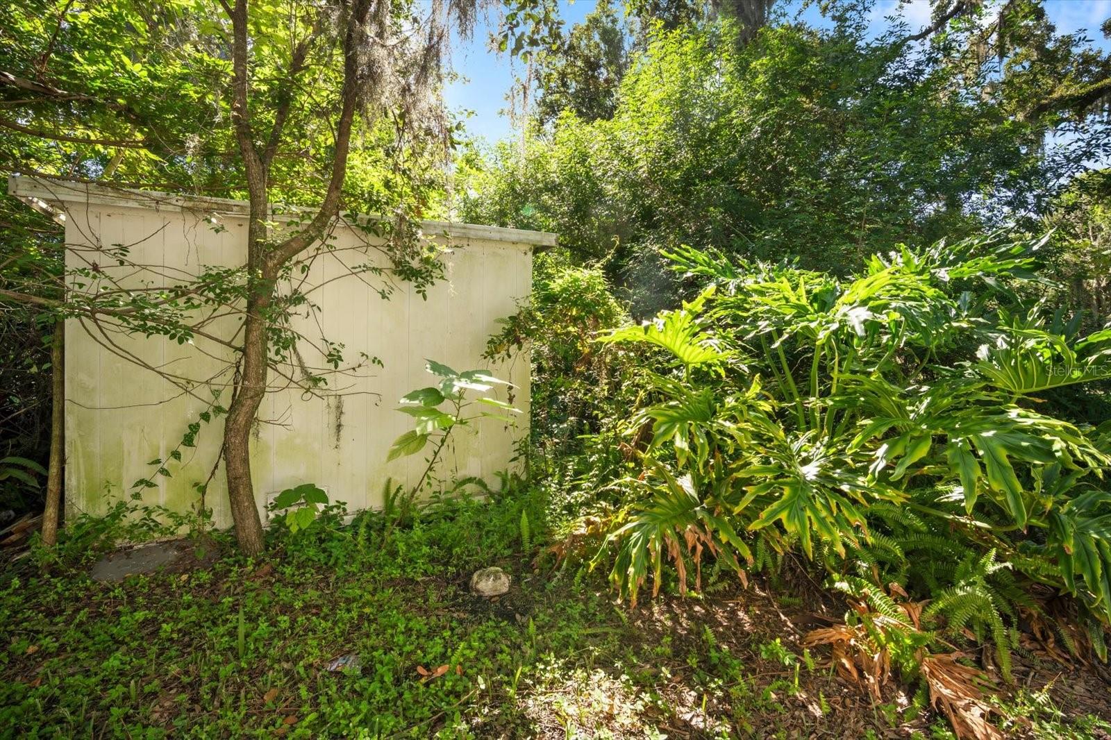 6915 N 40TH ST, TAMPA, FL, 33604