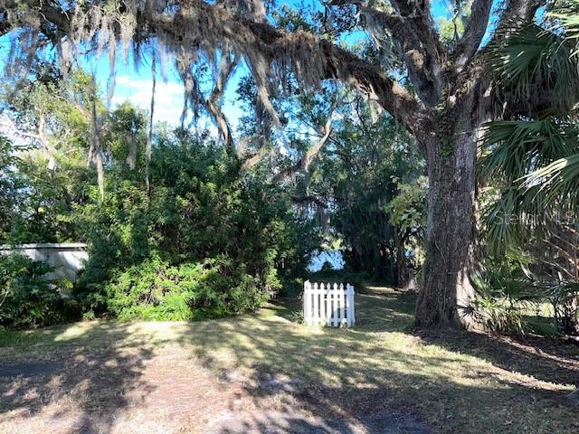 6915 N 40TH ST, TAMPA, FL, 33604