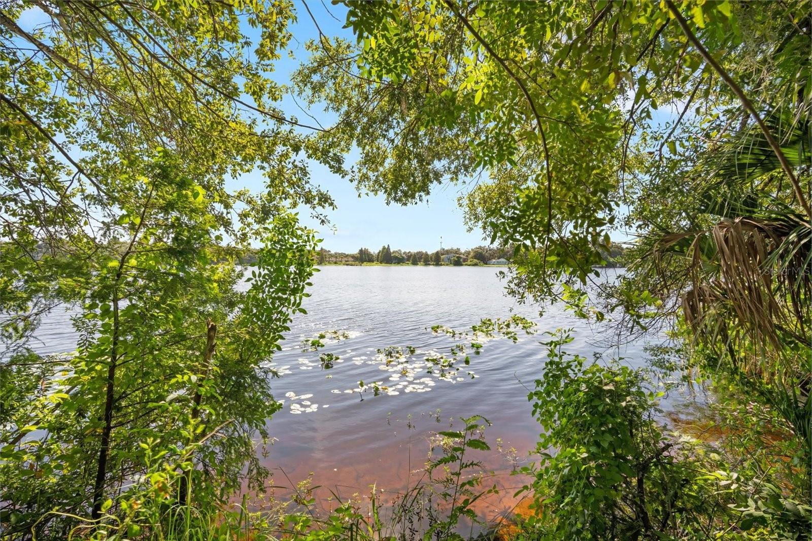 6915 N 40TH ST, TAMPA, FL, 33604