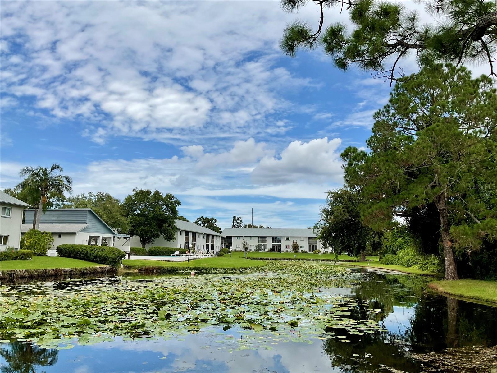 11201 122ND AVE #214, LARGO, FL, 33778