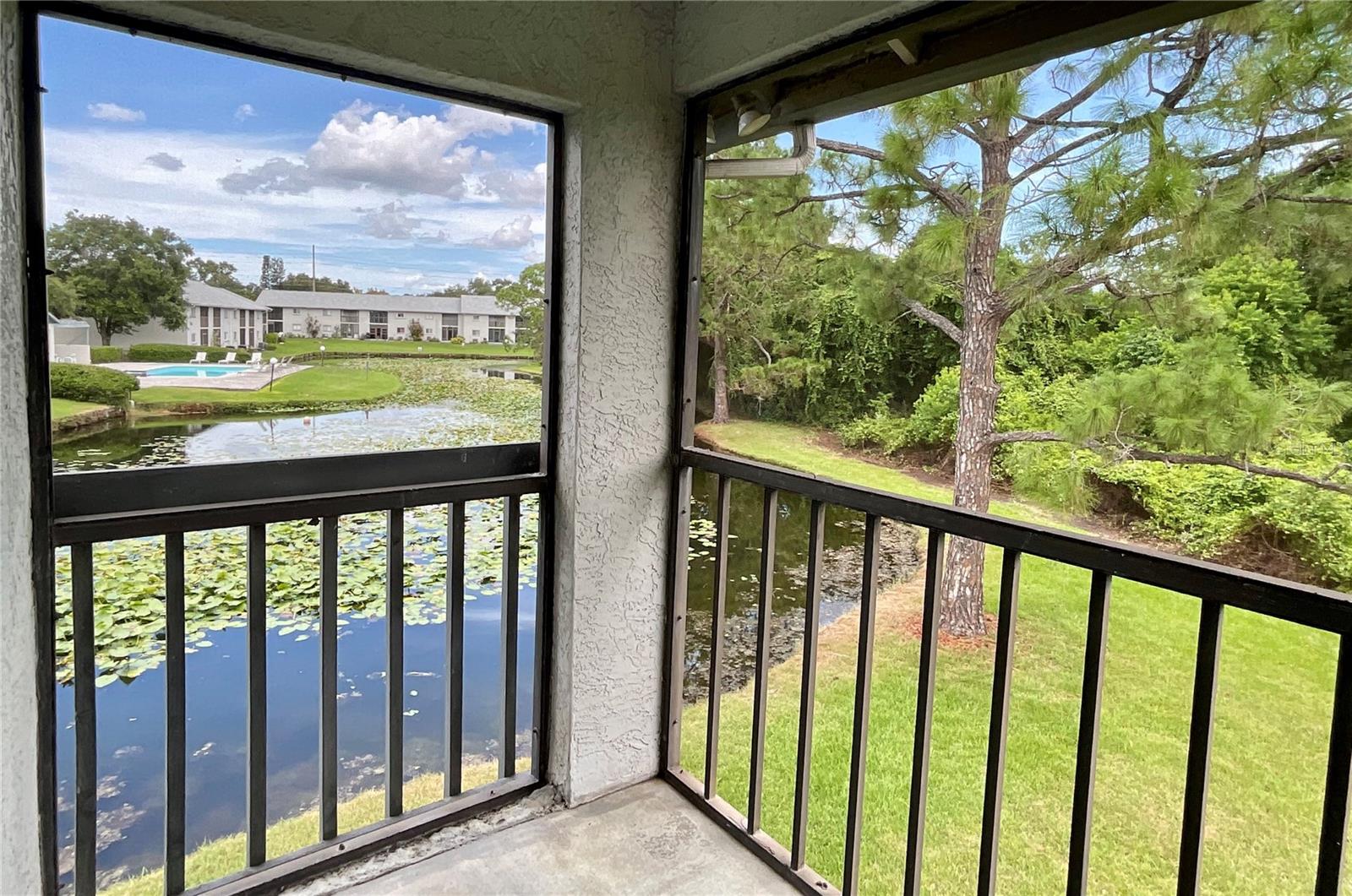 11201 122ND AVE #214, LARGO, FL, 33778