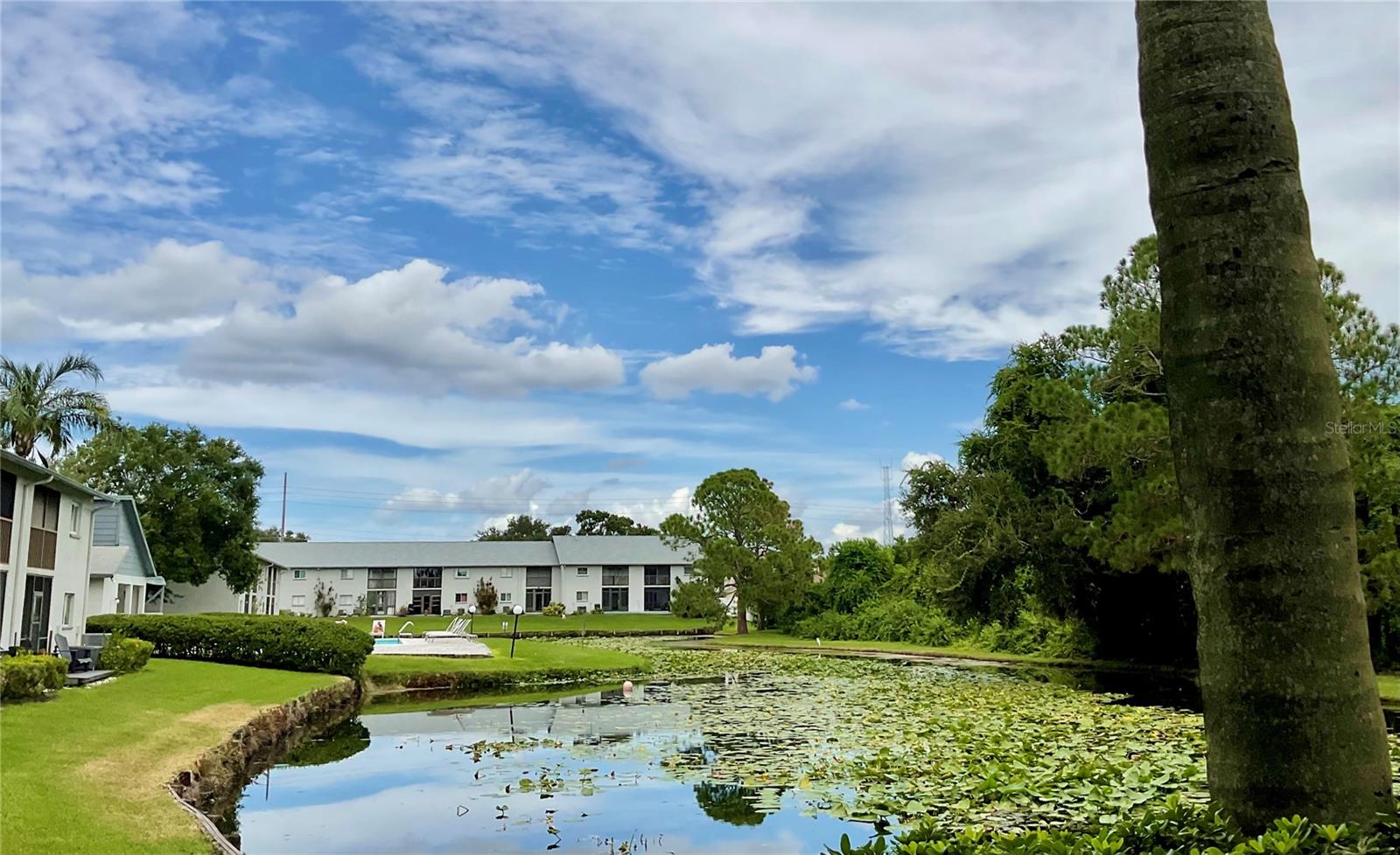 11201 122ND AVE #214, LARGO, FL, 33778