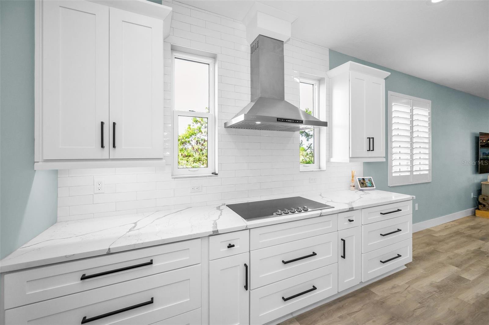 5650 EGRETS PL, NEW PORT RICHEY, FL, 34652