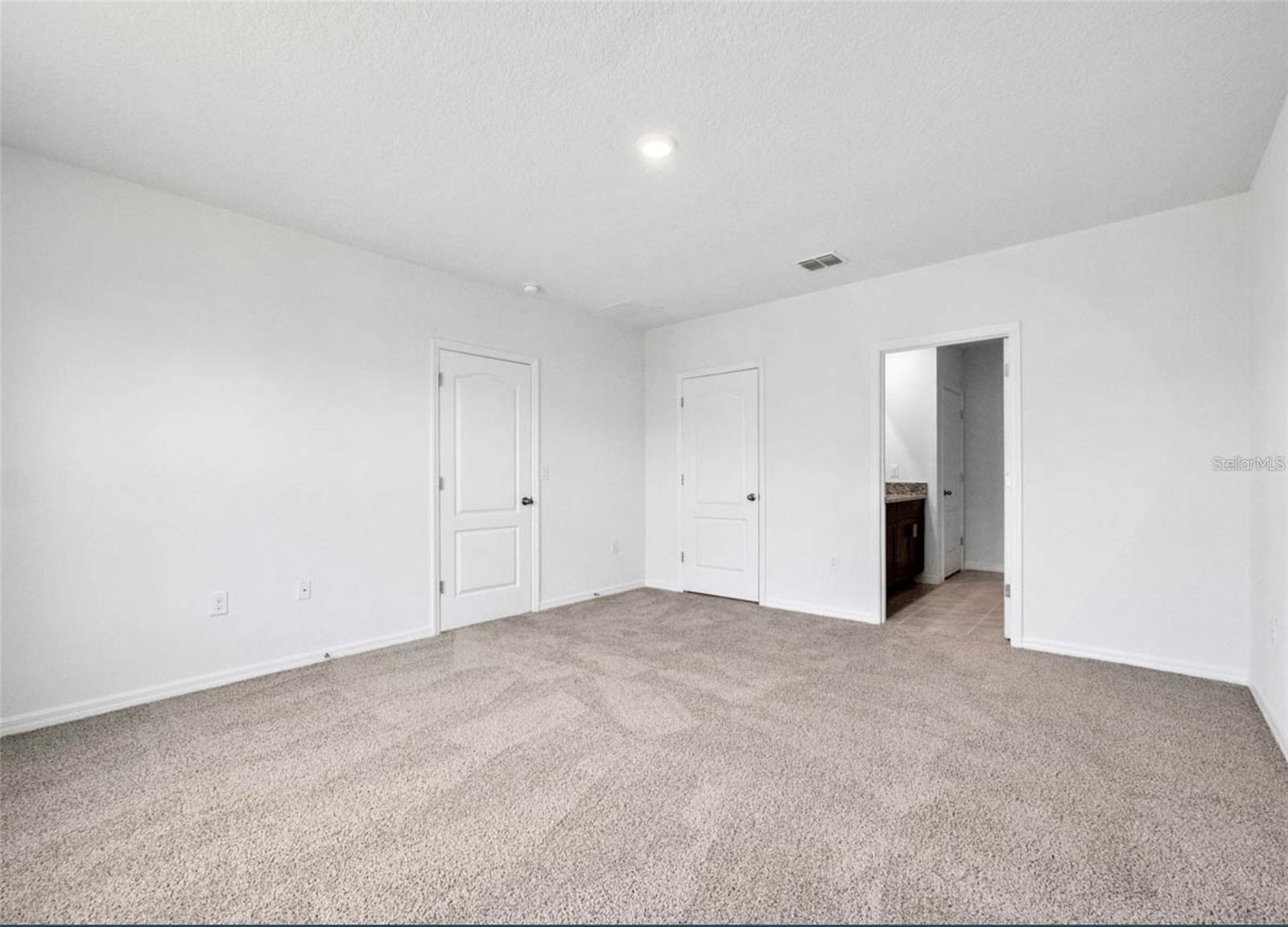 343 CARYOTA CT, NEW SMYRNA BEACH, FL, 32168