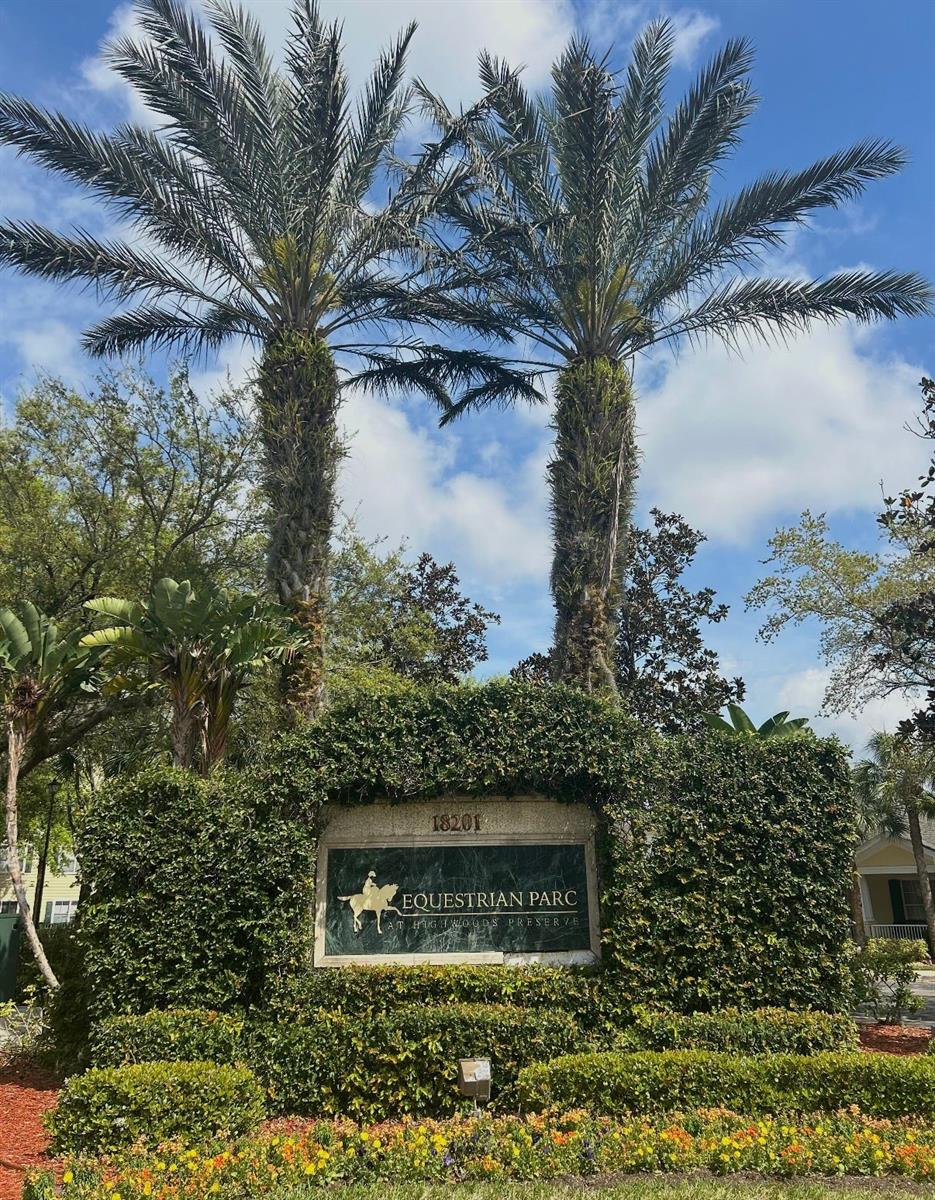 18387 BRIDLE CLUB DR #18387, TAMPA, FL, 33647