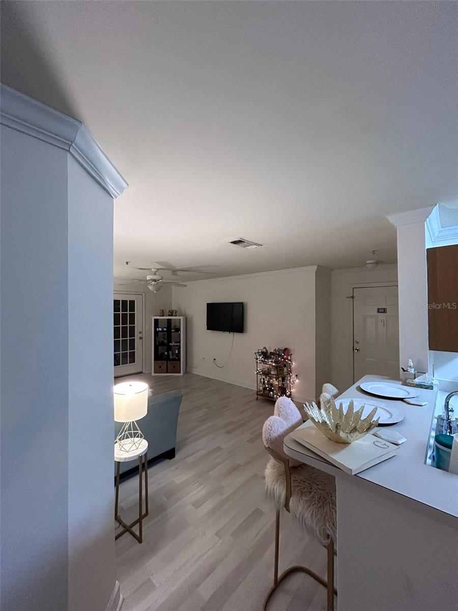 18387 BRIDLE CLUB DR #18387, TAMPA, FL, 33647