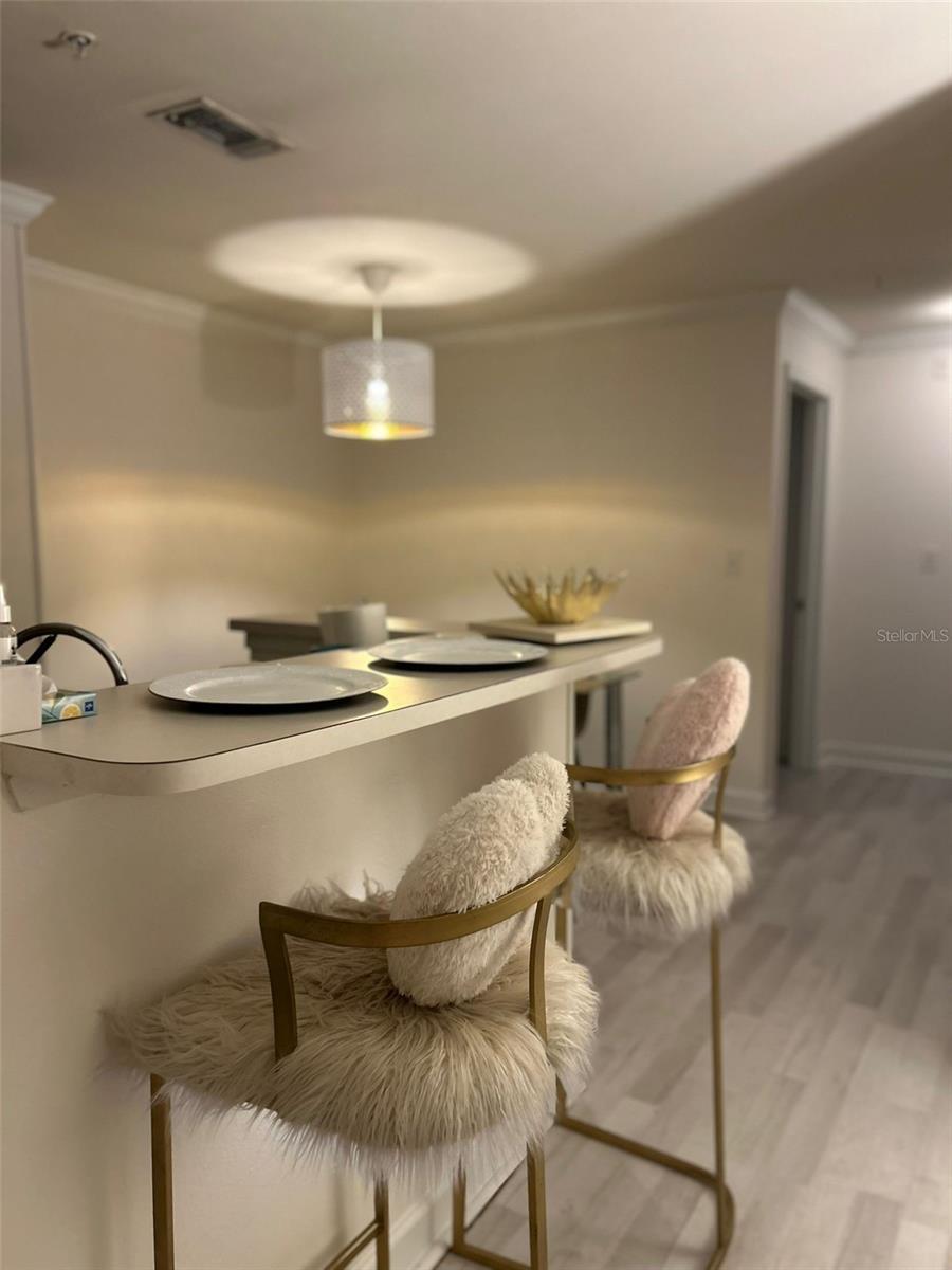 18387 BRIDLE CLUB DR #18387, TAMPA, FL, 33647