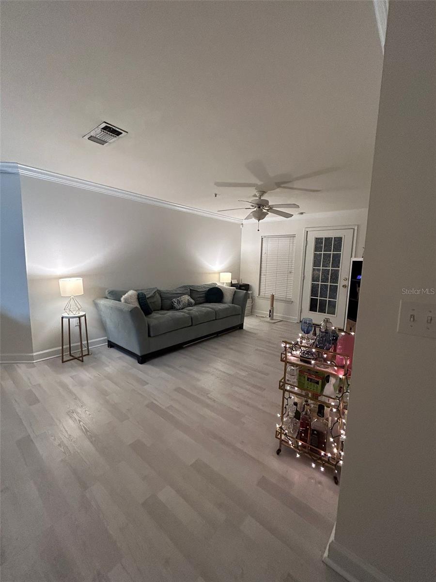 18387 BRIDLE CLUB DR #18387, TAMPA, FL, 33647