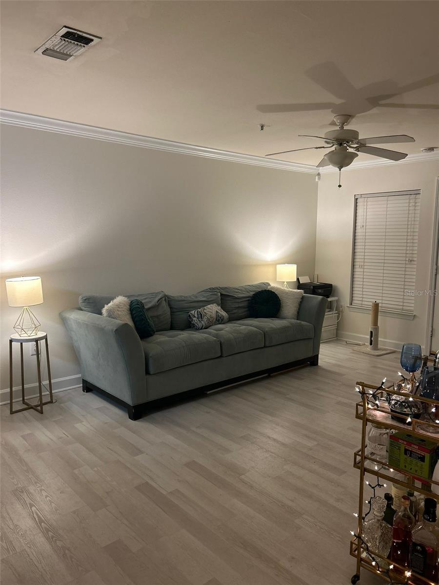 18387 BRIDLE CLUB DR #18387, TAMPA, FL, 33647