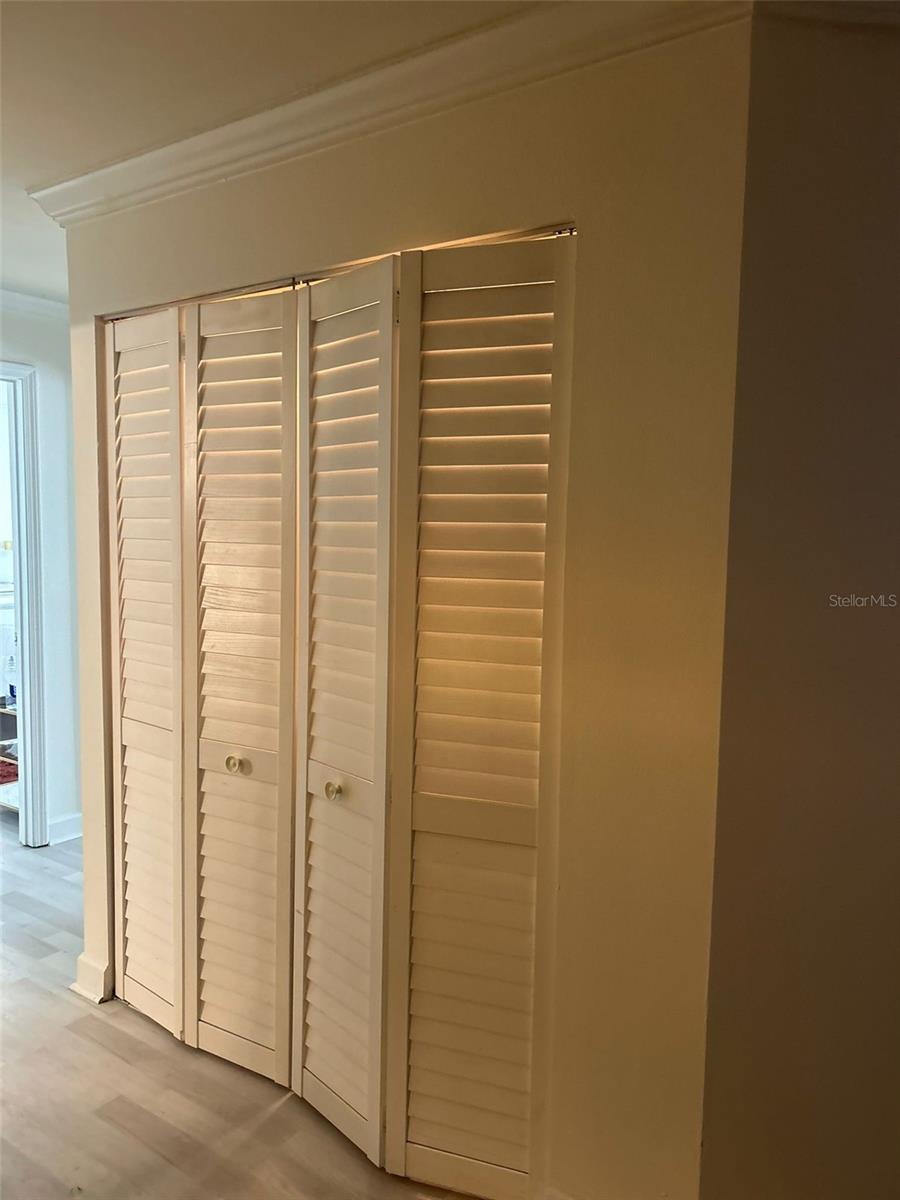 18387 BRIDLE CLUB DR #18387, TAMPA, FL, 33647