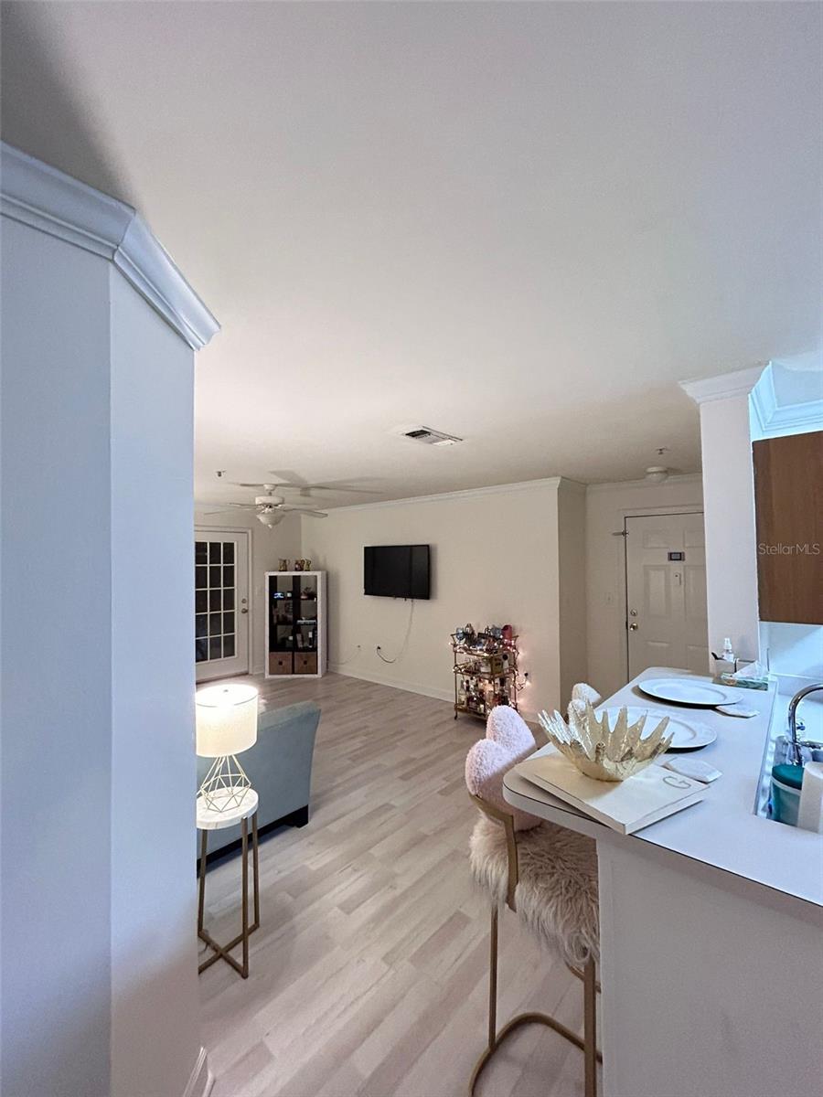 18387 BRIDLE CLUB DR #18387, TAMPA, FL, 33647