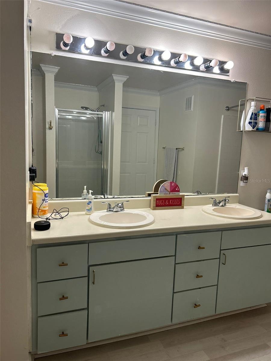 18387 BRIDLE CLUB DR #18387, TAMPA, FL, 33647