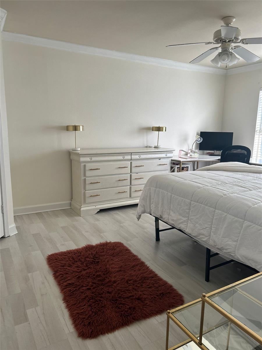 18387 BRIDLE CLUB DR #18387, TAMPA, FL, 33647