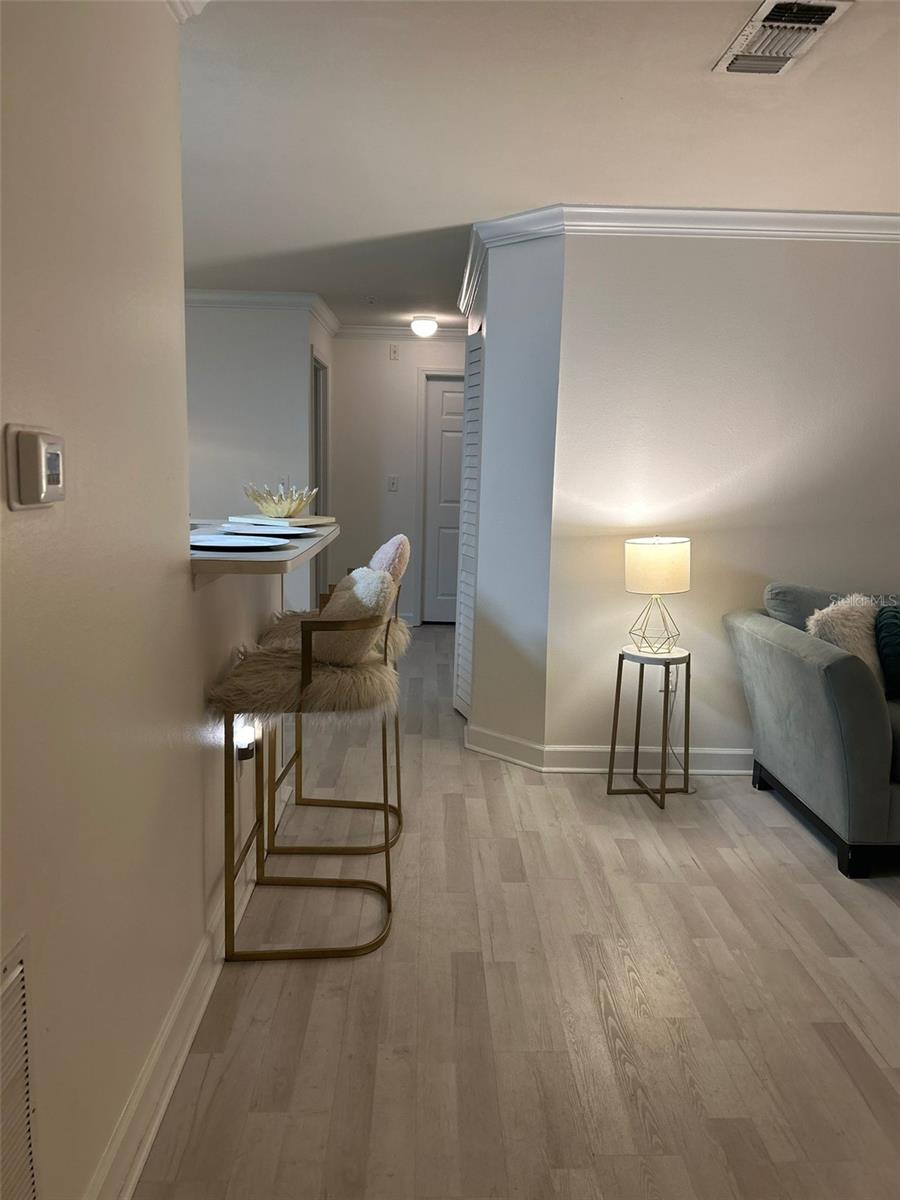 18387 BRIDLE CLUB DR #18387, TAMPA, FL, 33647