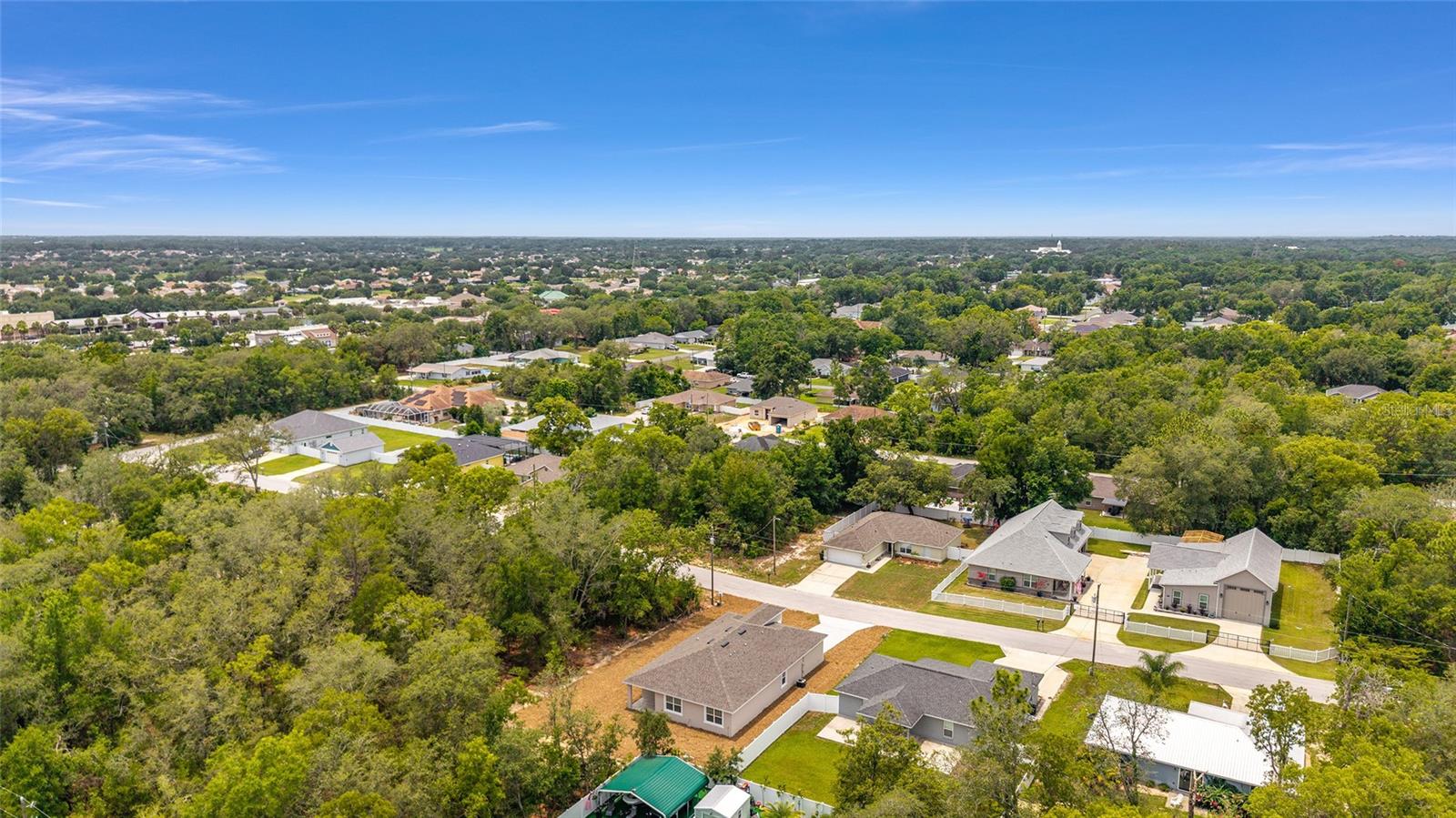 16357 SE 88TH CT, SUMMERFIELD, FL, 34491