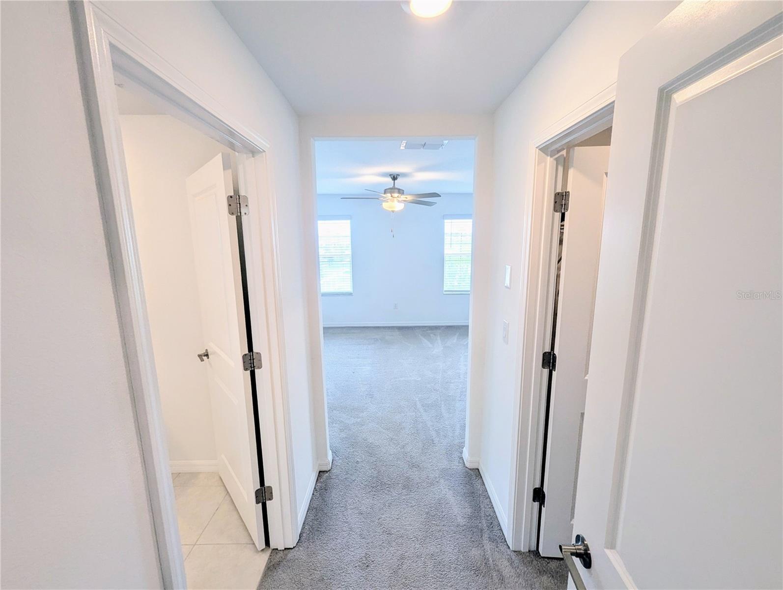 32001 POWDERPUFF MIMOSA DR, SAN ANTONIO, FL, 33576