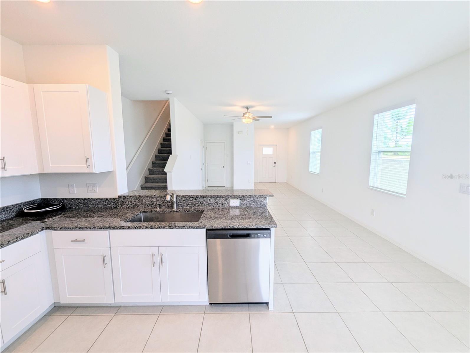 32001 POWDERPUFF MIMOSA DR, SAN ANTONIO, FL, 33576