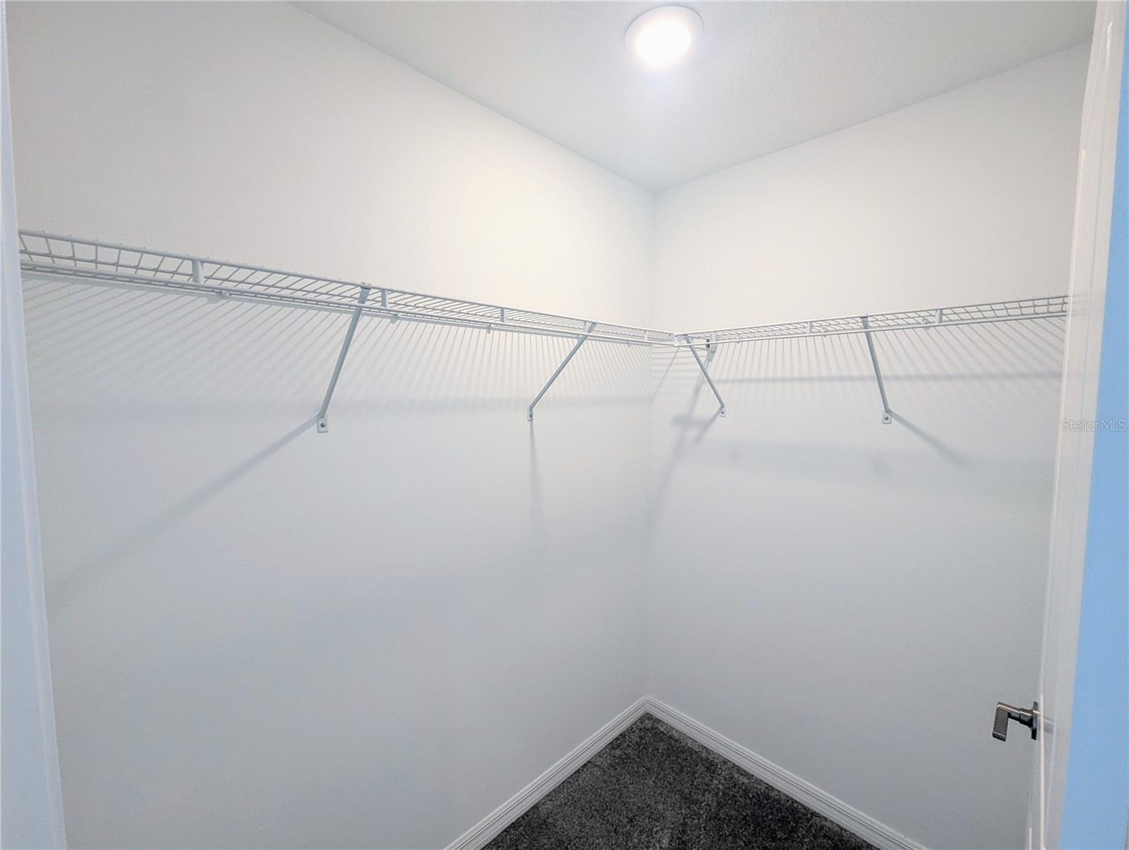 32001 POWDERPUFF MIMOSA DR, SAN ANTONIO, FL, 33576