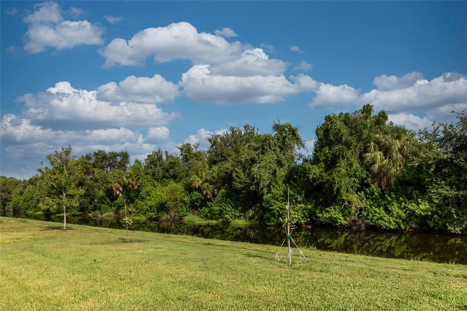 171 BRIGHT IBIS AVE, APOLLO BEACH, FL, 33572