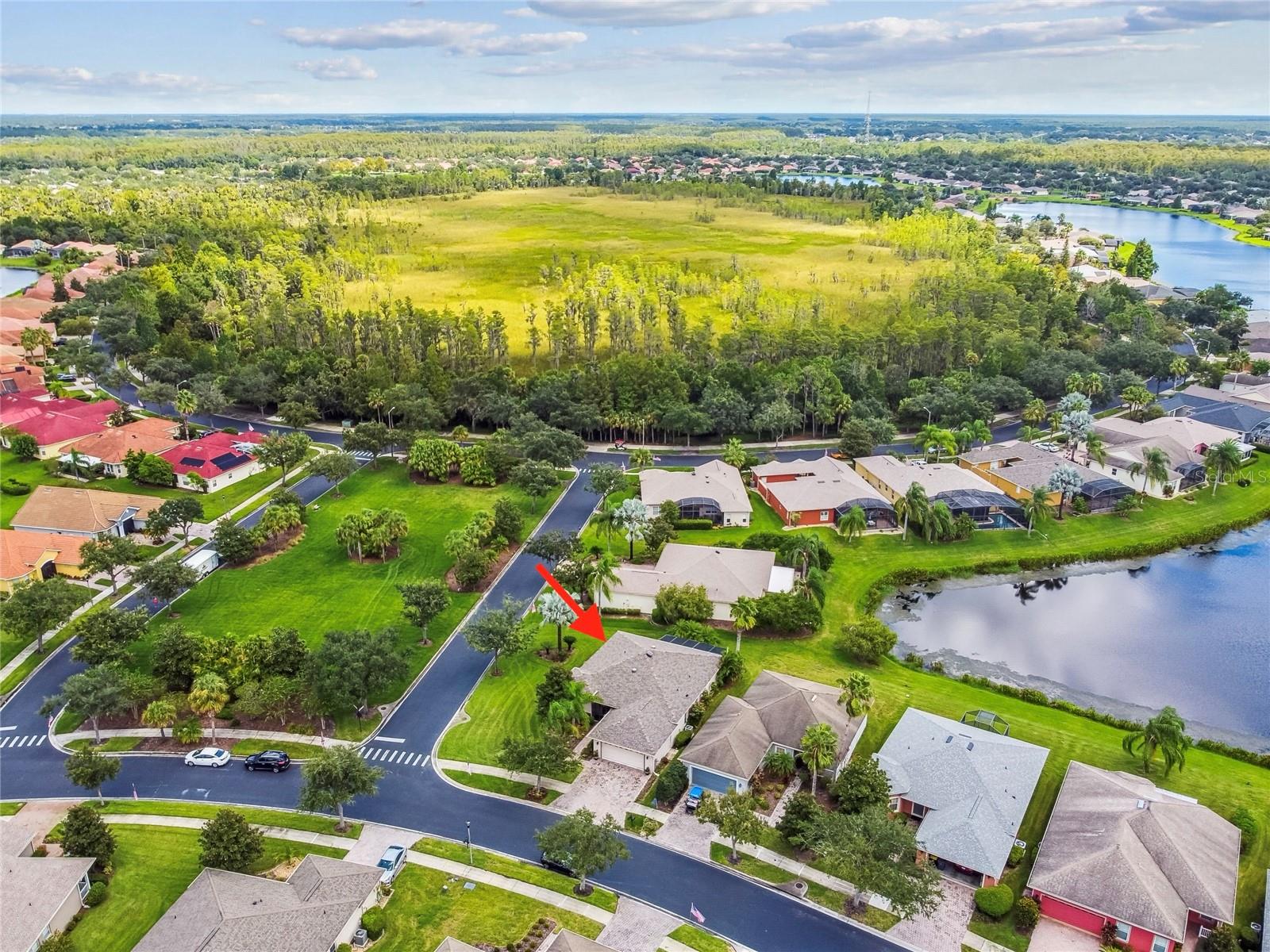 482 DAVINCI PASS, KISSIMMEE, FL, 34759