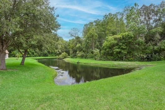 11506 DAMPIER CT, NEW PORT RICHEY, FL, 34654