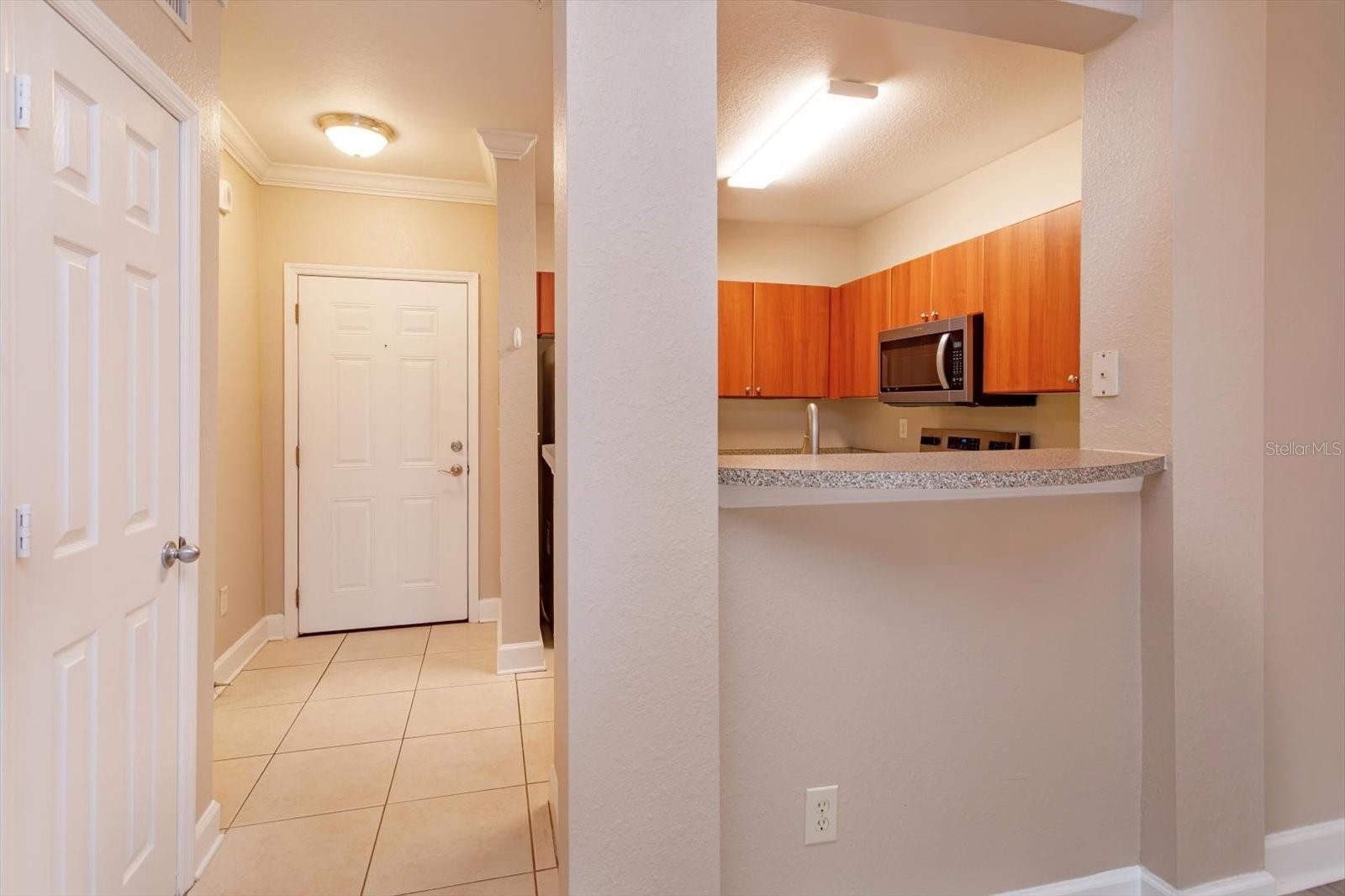 204 E SOUTH ST #4060, ORLANDO, FL, 32801