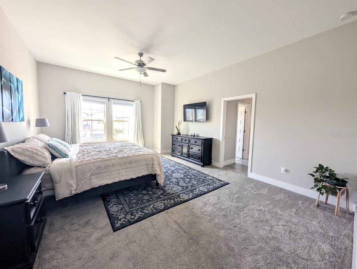 7416 S FAUL ST, TAMPA, FL, 33616