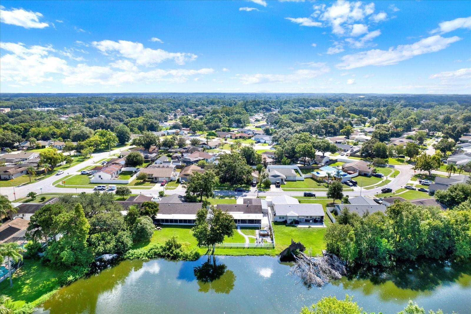 14312 ARBOR HILLS RD, TAMPA, FL, 33625