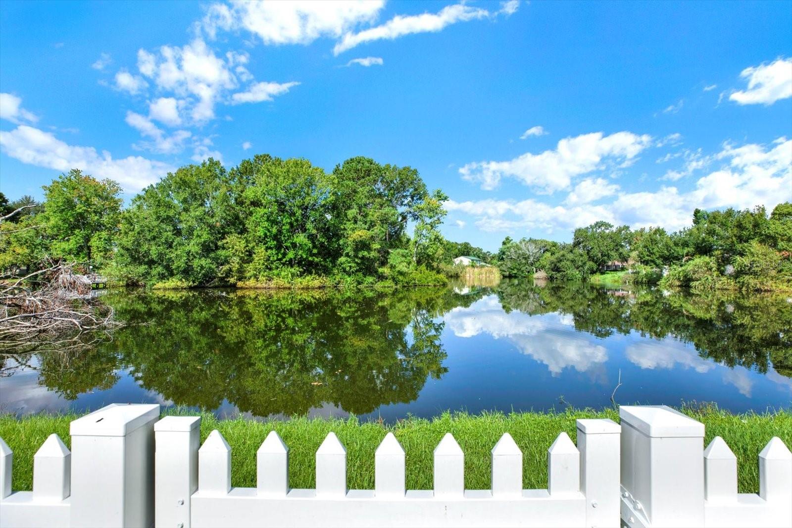 14312 ARBOR HILLS RD, TAMPA, FL, 33625