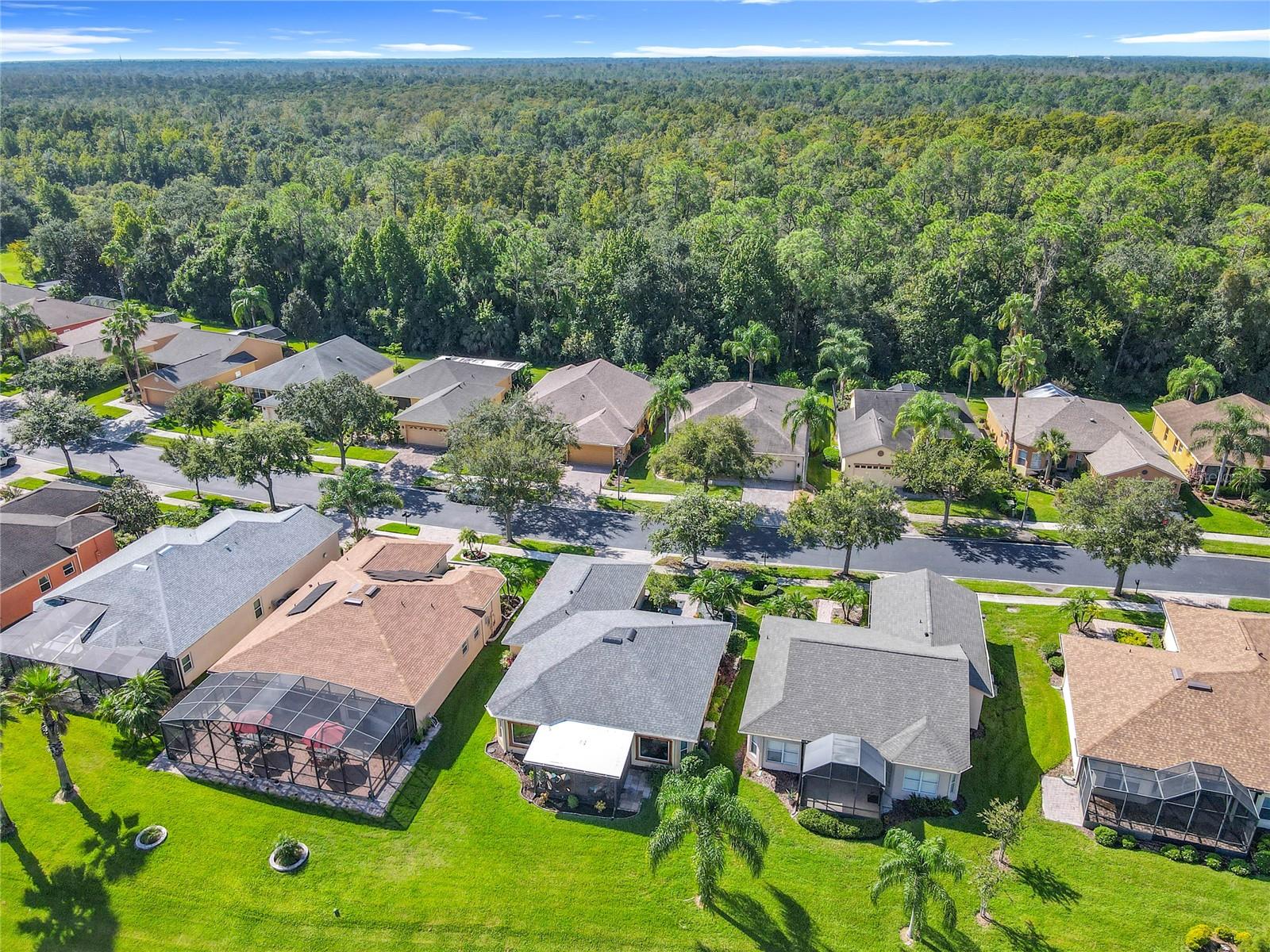 356 DAVINCI PASS, KISSIMMEE, FL, 34759