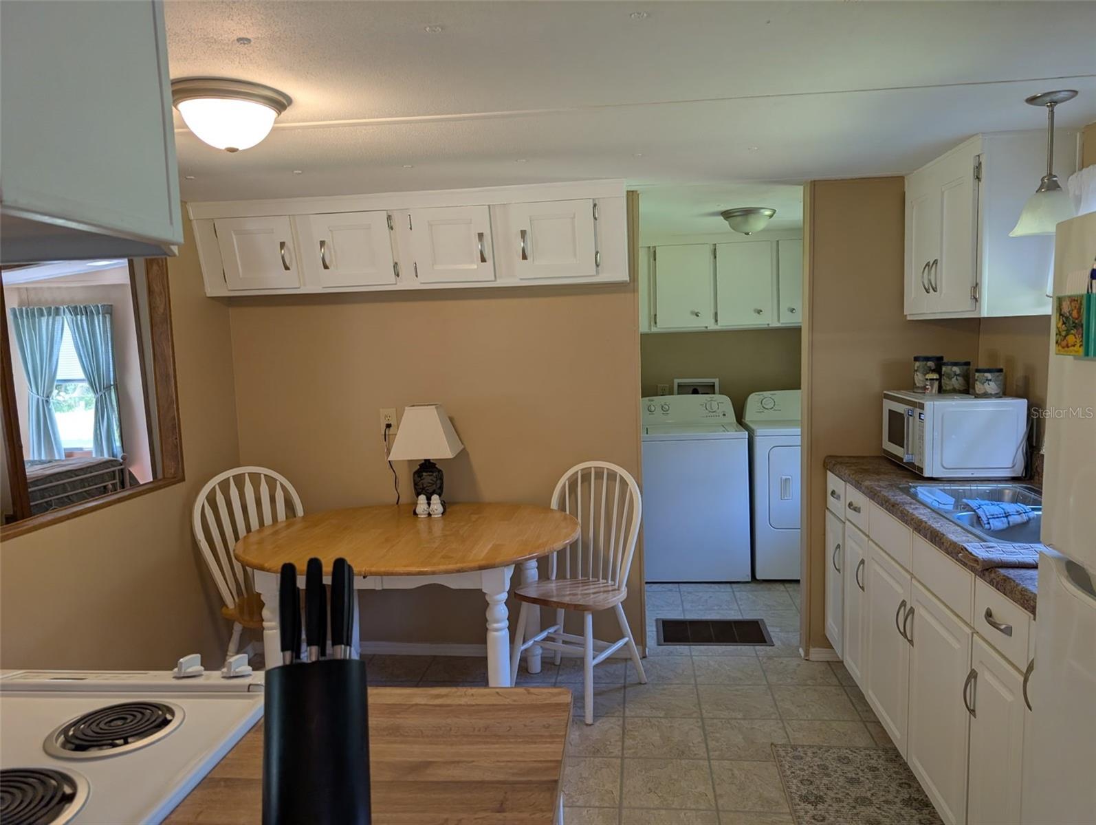 56314 BLUE CREEK RD, ASTOR, FL, 32102