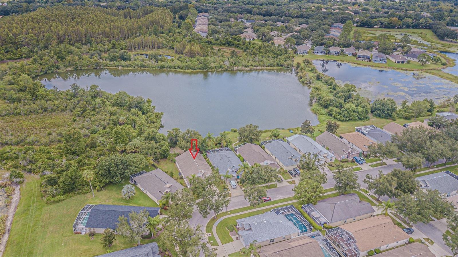 18024 ARBOR CREST DR, TAMPA, FL, 33647