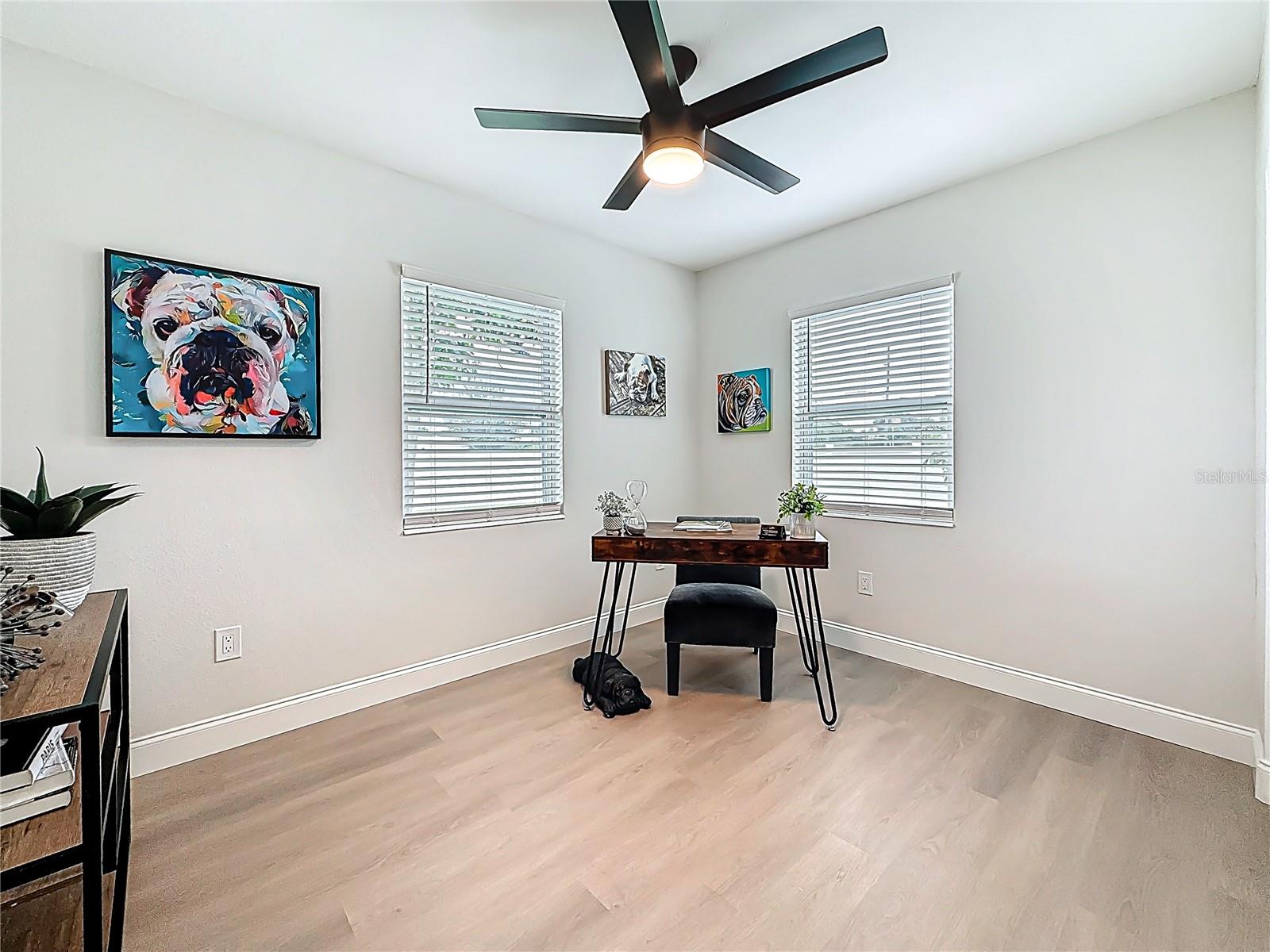 2999 LESLEE LAKE DR N, ST PETERSBURG, FL, 33713