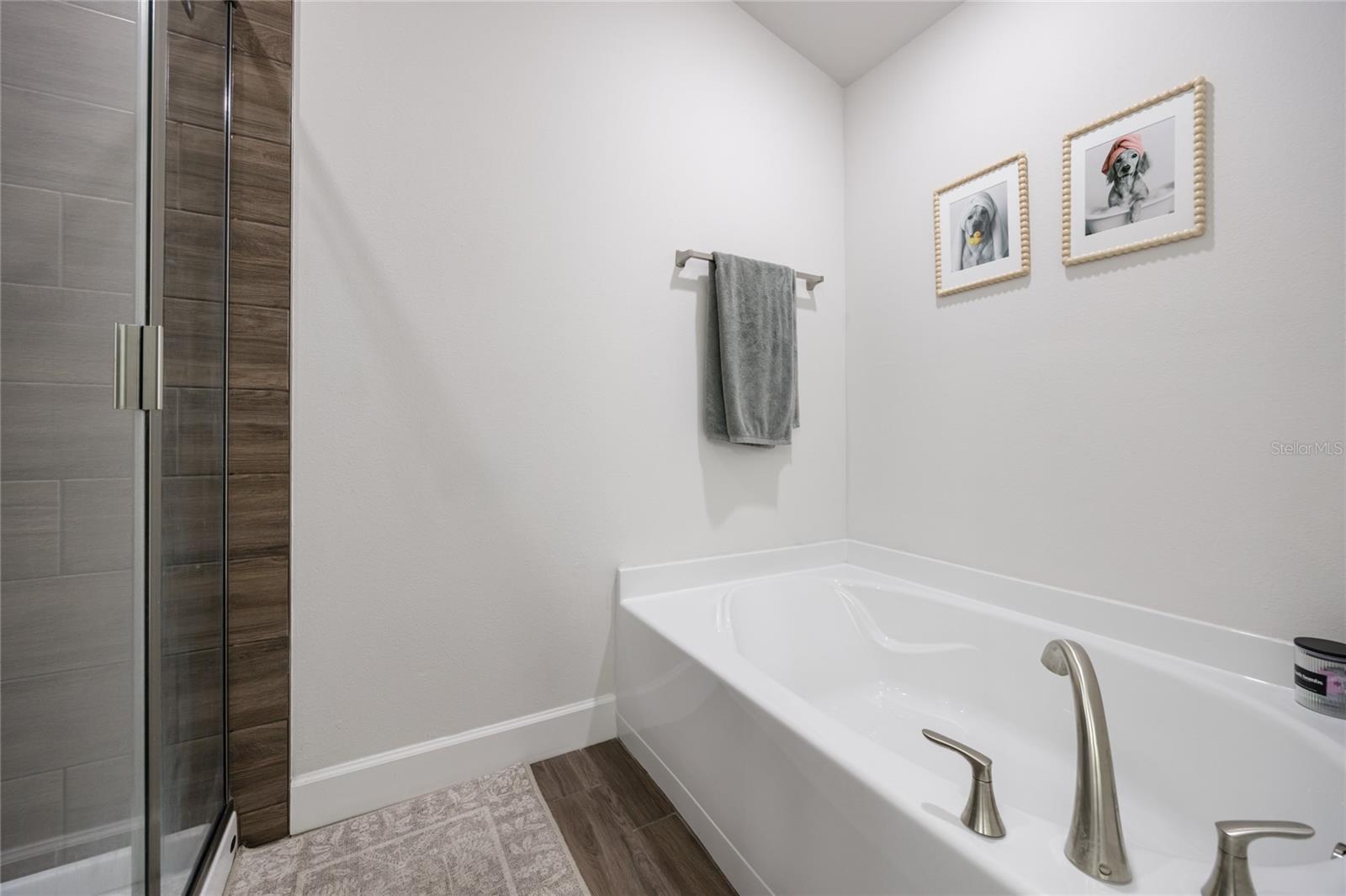 25031 SW 24TH PL, NEWBERRY, FL, 32669