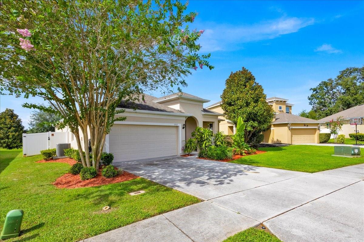 1262 MERION DR, MOUNT DORA, FL, 32757