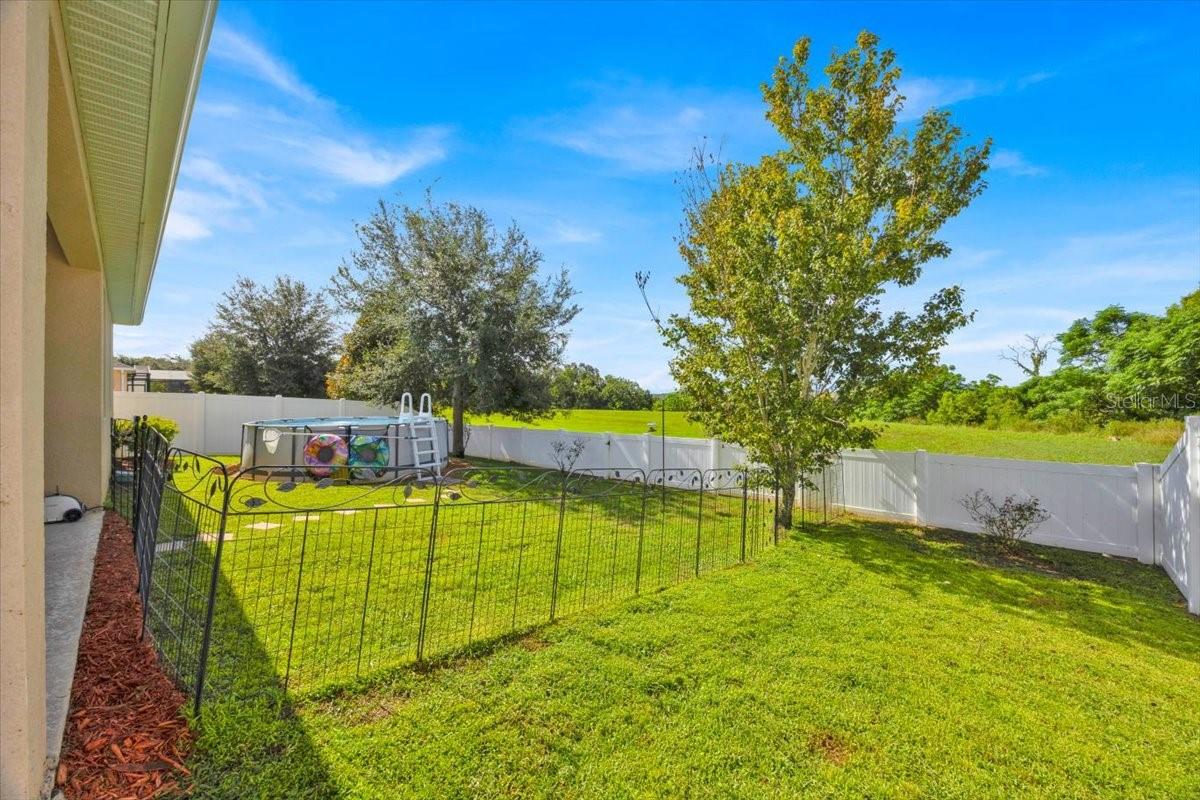 1262 MERION DR, MOUNT DORA, FL, 32757