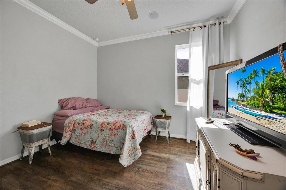 1262 MERION DR, MOUNT DORA, FL, 32757