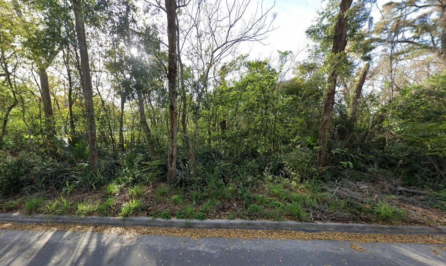 961 APOPKA BLVD, APOPKA, FL, 32703