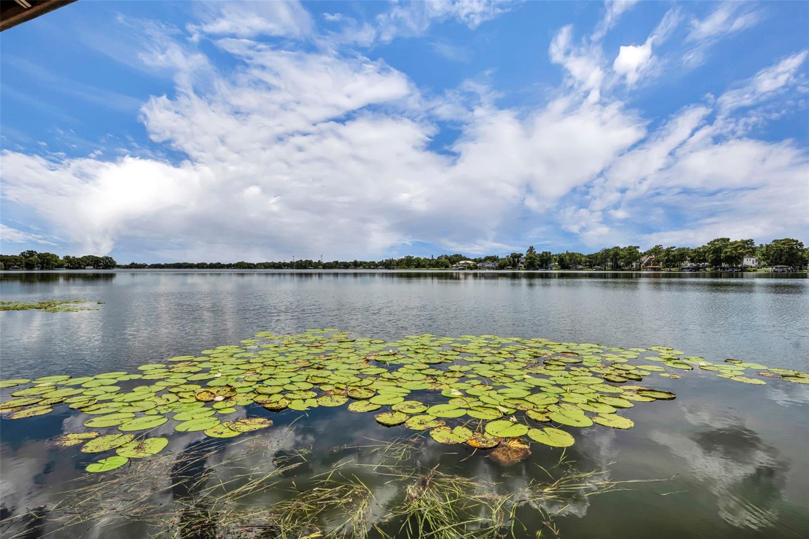 2500 LEE RD #115, WINTER PARK, FL, 32789