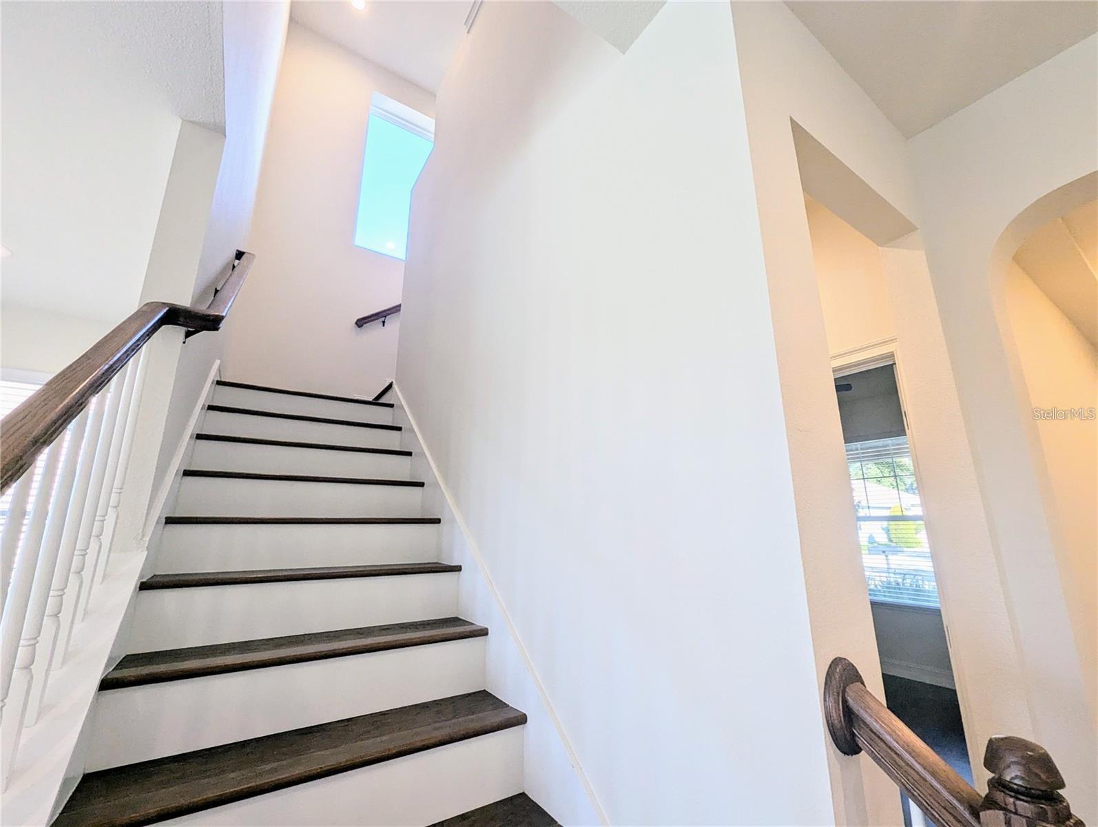 6209 WINDSHIP CT, TAMPA, FL, 33647