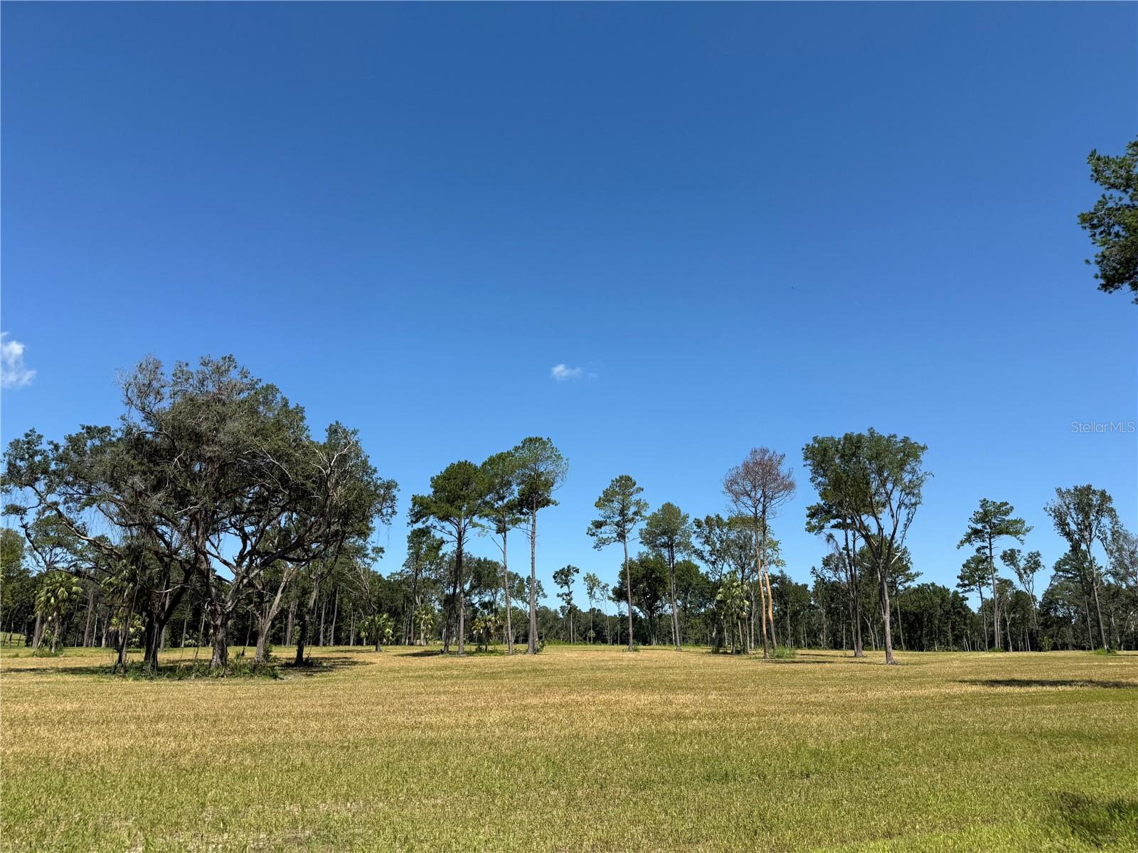 DO #8 (10ac) NW 193RD ST, MICANOPY, FL, 32667