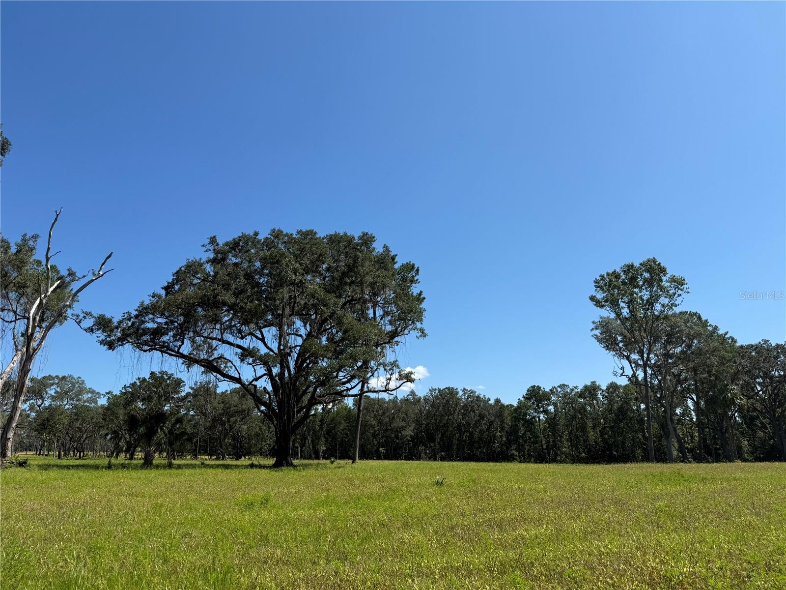 DO #8 (10ac) NW 193RD ST, MICANOPY, FL, 32667